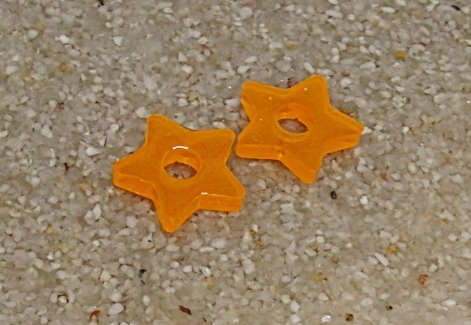 Lot de 2 Pampilles - Étoile - Stella