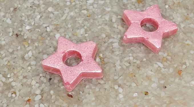 Lot de 2 Pampilles - Étoile - Stella